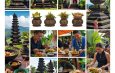 Ultimate Guide to Bali’s Cultural Etiquette