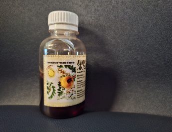 Madu Murni MADU AKASIA, Kaya Antioksidan